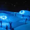 DSC04486.JPG