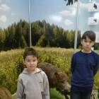 IMG-b7f1e06eb876c3da7f16cce6d7418ee5-V