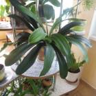 DSCN0568.JPG