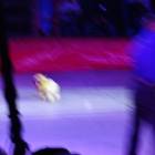 DSC07330.JPG