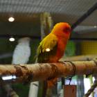 DSC_0579.JPG