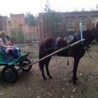 6 день соревнований 21
