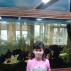 IMG_20181105_131739