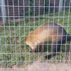 IMG_20160828_092605