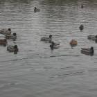 DSCN4918.JPG