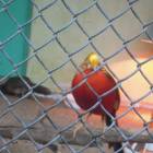 DSCN5013.JPG