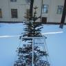 DSCN6556.JPG