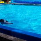 20180710_113545
