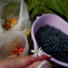 DSCN0630.JPG