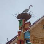 DSCN7099.JPG