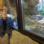 IMG_20171112_192144