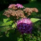DSCN1640.JPG