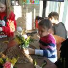 IMG_20180310_153551