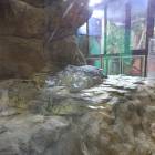 IMG_20171112_191358