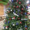 DSCN6561.JPG