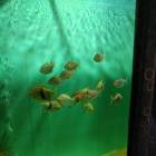 IMG_20171112_185230