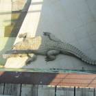 IMG_6159.JPG