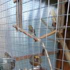 IMG_20160828_084846