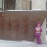 транспорты17243