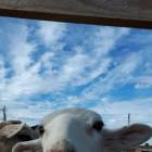 IMG-20180916-WA0002