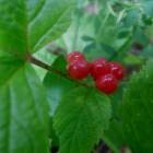 DSCN0589.JPG