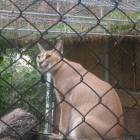 DSCN0176.JPG
