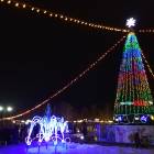 Мои новогодние каникулы133985