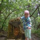 DSCN0346.JPG