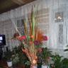 DSC04293.JPG