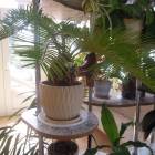 DSCN0567.JPG