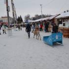 DSC_0106.JPG