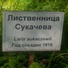 DSCN1637.JPG