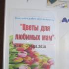 Выставка работ учащихся БДХШ "Цветы для любимых мам" 02.03.2018140377