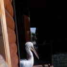 IMG_20160828_085804