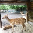DSC05957.JPG