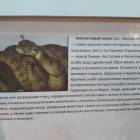 Выставка зоопарк "Живые тропики"60572