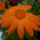 DSCN0305.JPG