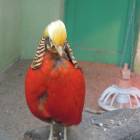 DSCN5030.JPG