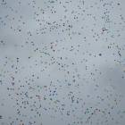 IMG_2368.JPG