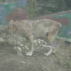 DSCN0209.JPG