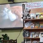 Библионочь-2017. Межпоселенческая центральная библиотека. Бугульма.64729