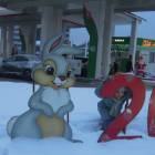 DSCN6030.JPG