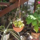 DSCN0581.JPG