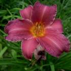 DSCN0642.JPG