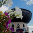 DSCN1177.JPG