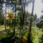 DSCN0389.JPG