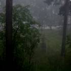 DSCN0298.JPG
