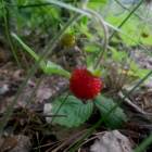 DSCN0263.JPG