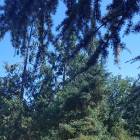 20180815_150351