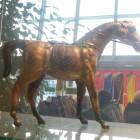 DSCN6834.JPG
